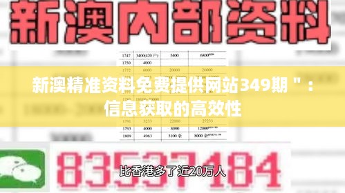 新澳精準(zhǔn)資料免費(fèi)提供網(wǎng)站349期＂：信息獲取的高效性