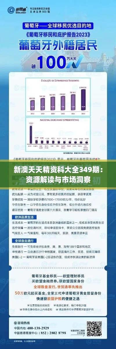 新澳天天精資科大全349期：資源解讀與市場洞察