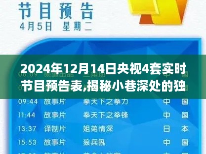 央視節(jié)目預告揭秘，小巷深處的獨特風味與隱藏特色小店（2024年12月14日節(jié)目預告）