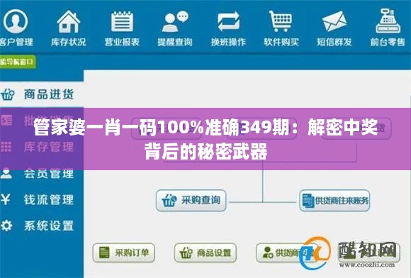 管家婆一肖一碼100%準確349期：解密中獎背后的秘密武器