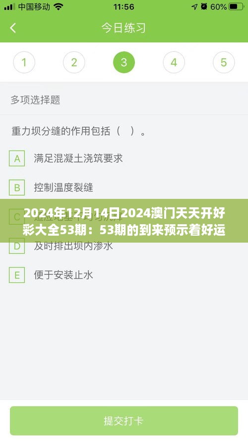 2024年12月14日2024澳門天天開好彩大全53期：53期的到來預示著好運連連
