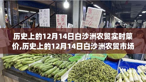 歷史上的12月14日白沙洲農(nóng)貿(mào)菜價(jià)奇跡，學(xué)習(xí)變化，自信成就夢(mèng)想之路
