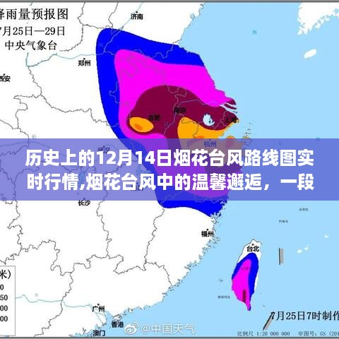 煙花臺(tái)風(fēng)中的愛與陪伴，歷史實(shí)時(shí)行情與溫馨邂逅