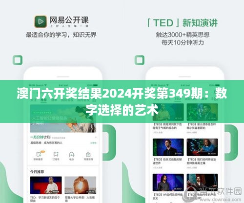 澳門六開(kāi)獎(jiǎng)結(jié)果2024開(kāi)獎(jiǎng)第349期：數(shù)字選擇的藝術(shù)