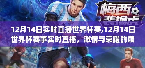 世界杯巔峰對(duì)決，激情與榮耀的實(shí)時(shí)直播盛宴（12月14日賽程）