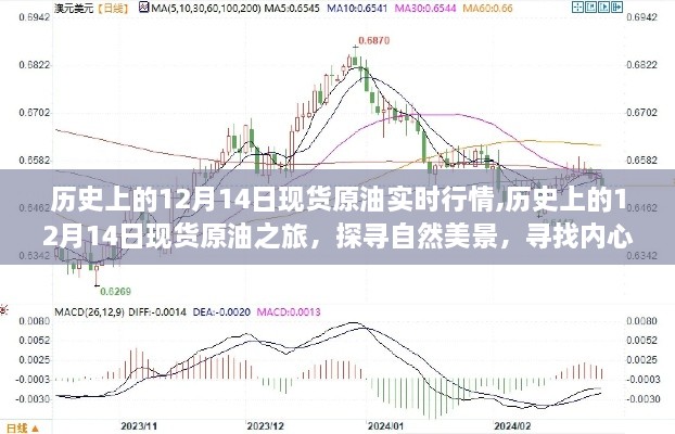 探尋自然美景與內(nèi)心平靜，歷史上的現(xiàn)貨原油行情之旅——12月14日的回顧與體驗(yàn)