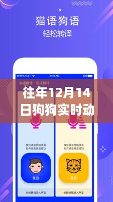 往年12月14日狗狗實(shí)時(shí)動(dòng)態(tài)軟件下載，追蹤愛(ài)犬生活軌跡的必備工具