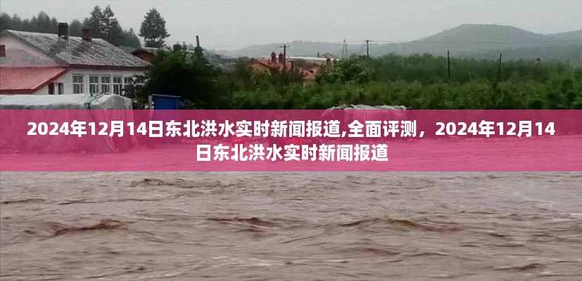 建議，最新東北洪水報(bào)道，全面評(píng)測(cè)東北洪水情況