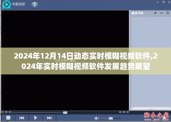 2024年實(shí)時(shí)模糊視頻軟件發(fā)展趨勢(shì)展望，動(dòng)態(tài)實(shí)時(shí)模糊軟件預(yù)測(cè)