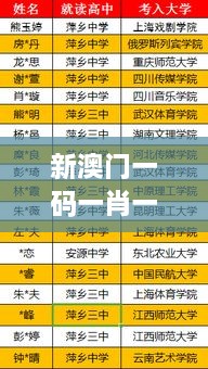 新澳門一碼一肖一特一中2024高考：技術(shù)與傳統(tǒng)教育的融合