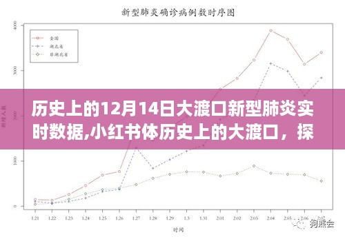 歷史上的大渡口新型肺炎實(shí)時(shí)數(shù)據(jù)探尋，探尋十二月十四日數(shù)據(jù)足跡在小紅書