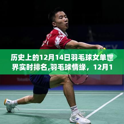 羽毛球情緣背后的暖心故事，女單世界實時排名回顧與解析（12月14日）