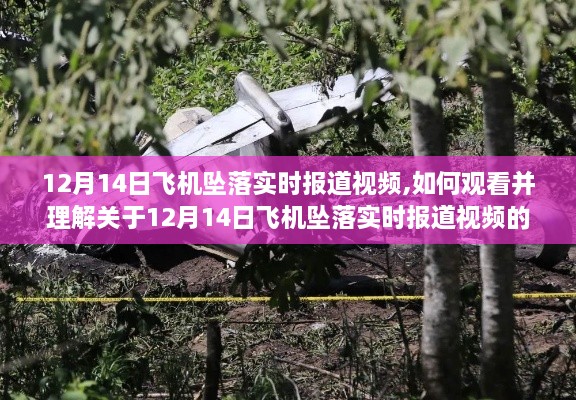 觀看并理解關(guān)于飛機(jī)墜落實(shí)時(shí)報(bào)道視頻步驟指南，12月14日?qǐng)?bào)道視頻解析