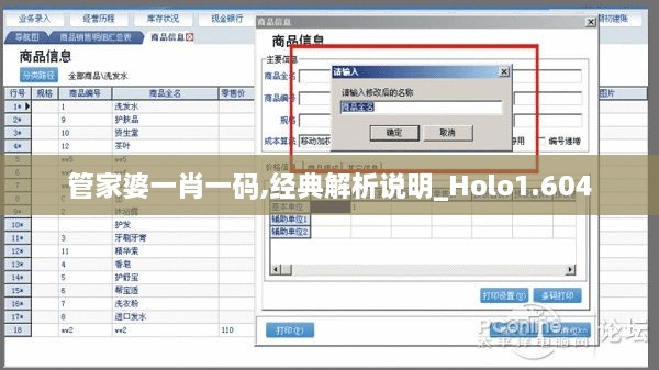 管家婆一肖一碼,經(jīng)典解析說明_Holo1.604