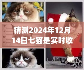 七貓收益之謎，溫馨時光里的實時收益猜想