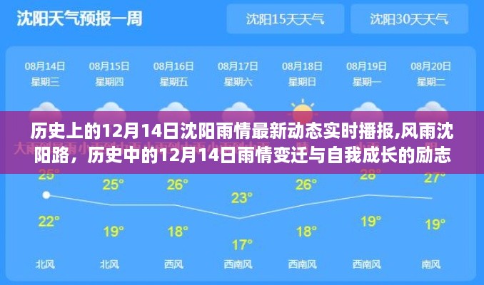沈陽風(fēng)雨變遷與自我成長的勵(lì)志篇章，歷史上的雨情實(shí)時(shí)播報(bào)與回顧