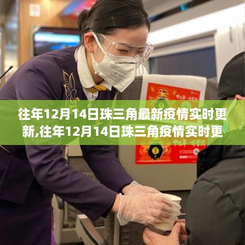 往年12月14日珠三角疫情實時更新概覽，關注要點、動態(tài)與防控措施全面解讀