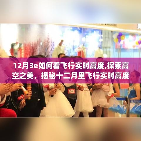 揭秘十二月飛行實時高度，高空探索之旅