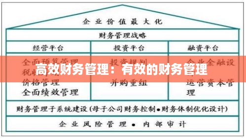 高效財(cái)務(wù)管理：有效的財(cái)務(wù)管理 