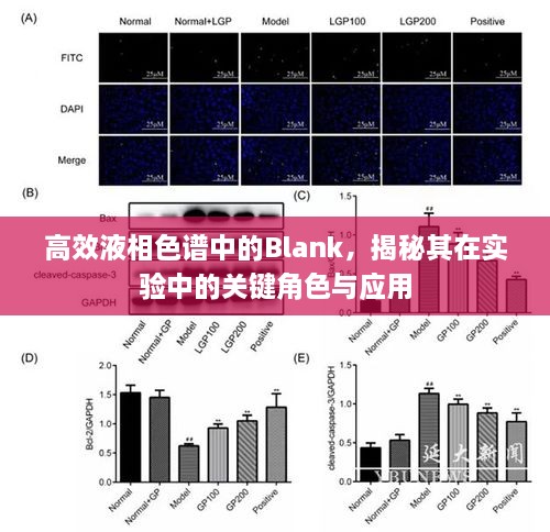 高效液相色譜中的Blank，揭秘其在實驗中的關(guān)鍵角色與應用