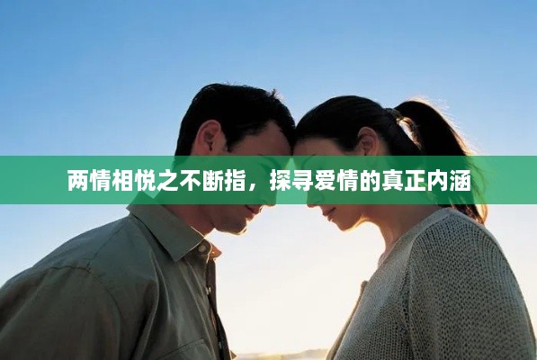 兩情相悅之不斷指，探尋愛情的真正內涵