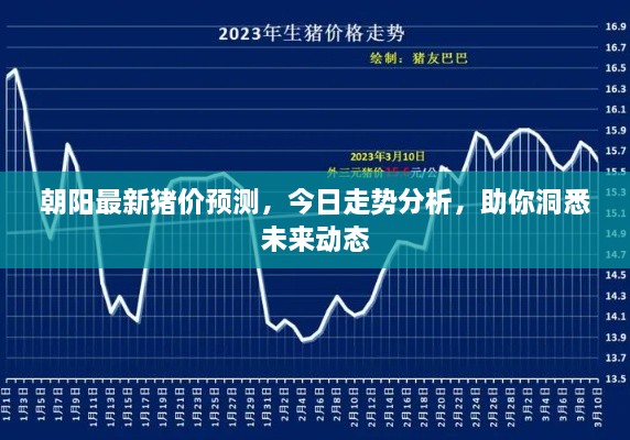 朝陽(yáng)最新豬價(jià)預(yù)測(cè)，今日走勢(shì)分析，助你洞悉未來(lái)動(dòng)態(tài)