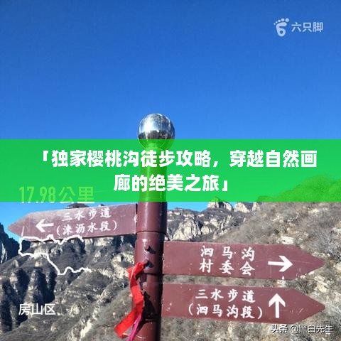 「獨家櫻桃溝徒步攻略，穿越自然畫廊的絕美之旅」