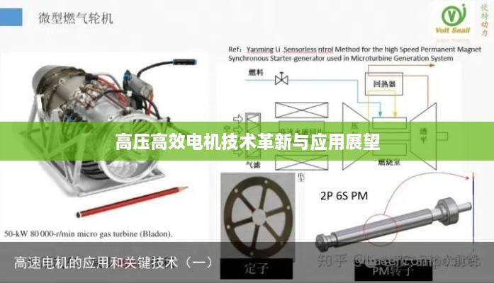 高壓高效電機技術(shù)革新與應(yīng)用展望