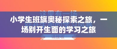 小學(xué)生班旗奧秘探索之旅，一場別開生面的學(xué)習(xí)之旅