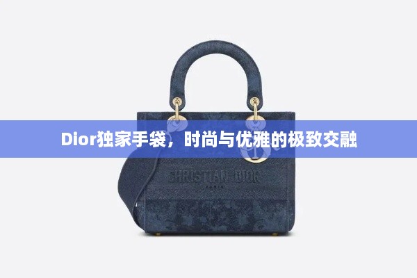 Dior獨家手袋，時尚與優(yōu)雅的極致交融