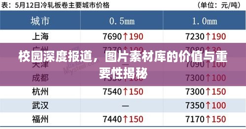 校園深度報道，圖片素材庫的價值與重要性揭秘