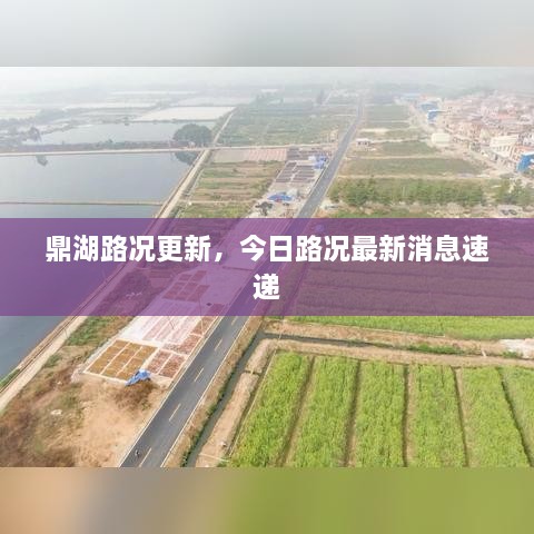 鼎湖路況更新，今日路況最新消息速遞