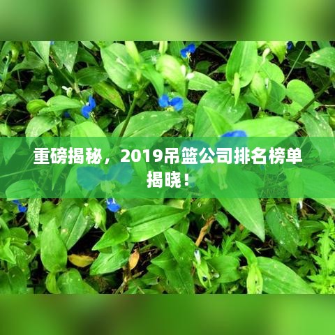 重磅揭秘，2019吊籃公司排名榜單揭曉！