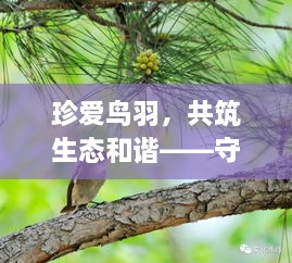 珍愛鳥羽，共筑生態(tài)和諧——守護(hù)鳥類，共創(chuàng)綠色家園