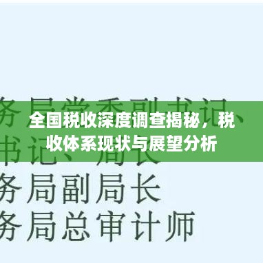 全國(guó)稅收深度調(diào)查揭秘，稅收體系現(xiàn)狀與展望分析