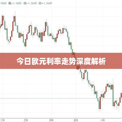 今日歐元利率走勢(shì)深度解析