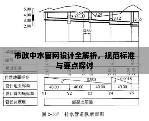 2025年3月12日 第5頁