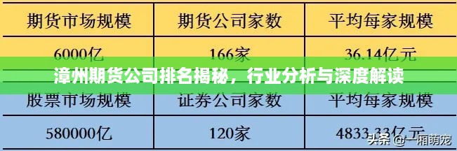 漳州期貨公司排名揭秘，行業(yè)分析與深度解讀