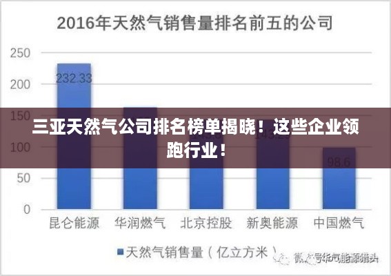 三亞天然氣公司排名榜單揭曉！這些企業(yè)領(lǐng)跑行業(yè)！