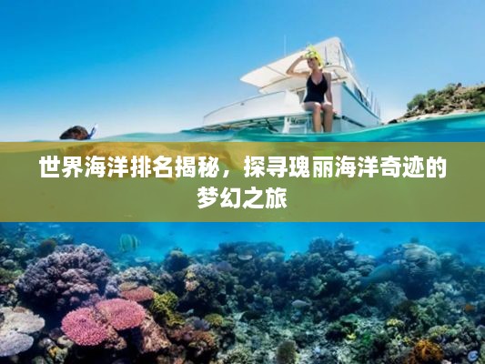 世界海洋排名揭秘，探尋瑰麗海洋奇跡的夢(mèng)幻之旅