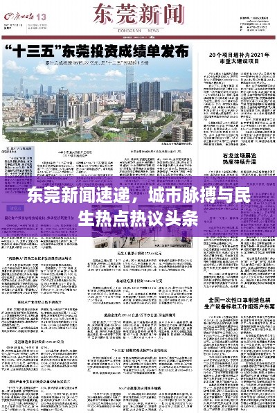 東莞新聞速遞，城市脈搏與民生熱點熱議頭條