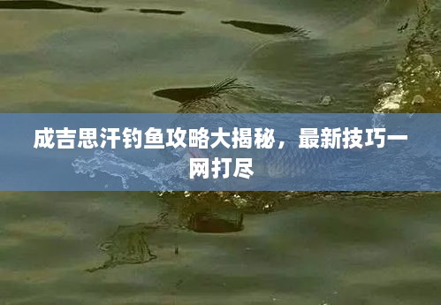 成吉思汗釣魚攻略大揭秘，最新技巧一網(wǎng)打盡