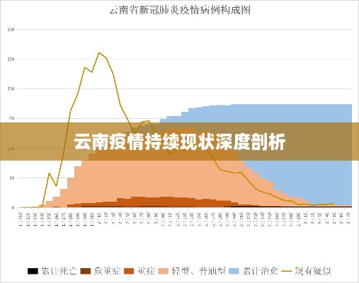 云南疫情持續(xù)現(xiàn)狀深度剖析