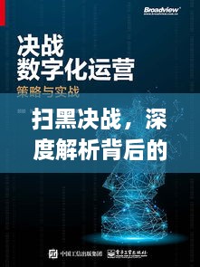 掃黑決戰(zhàn)，深度解析背后的勢力，百度助力揭示真相