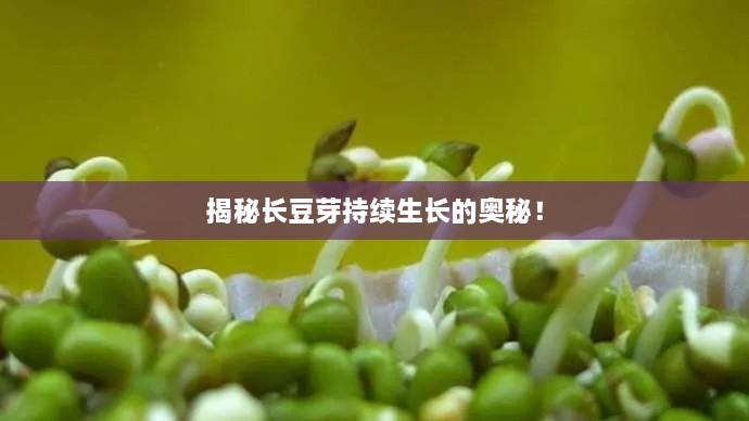 揭秘長豆芽持續(xù)生長的奧秘！