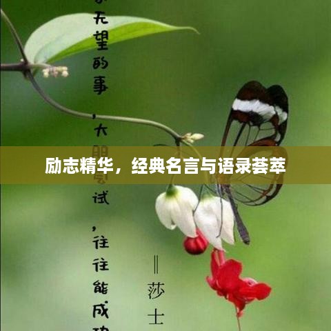勵(lì)志精華，經(jīng)典名言與語(yǔ)錄薈萃