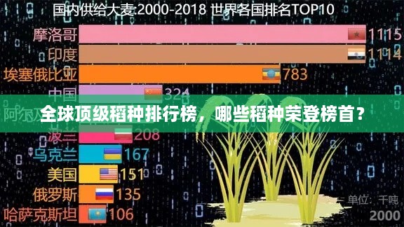 全球頂級(jí)稻種排行榜，哪些稻種榮登榜首？