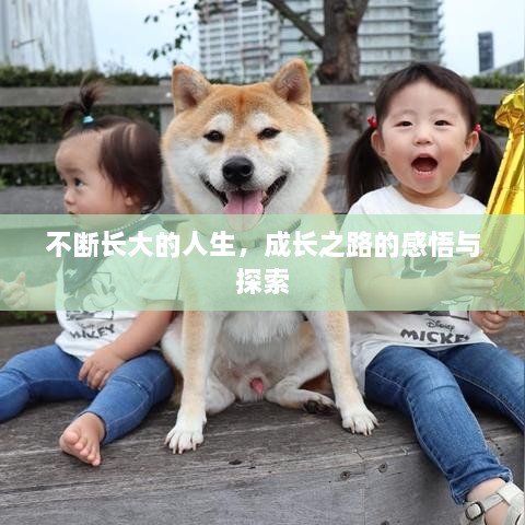 不斷長大的人生，成長之路的感悟與探索