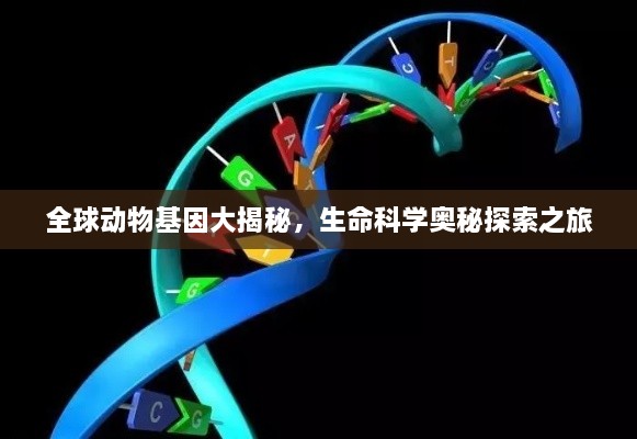 全球動(dòng)物基因大揭秘，生命科學(xué)奧秘探索之旅