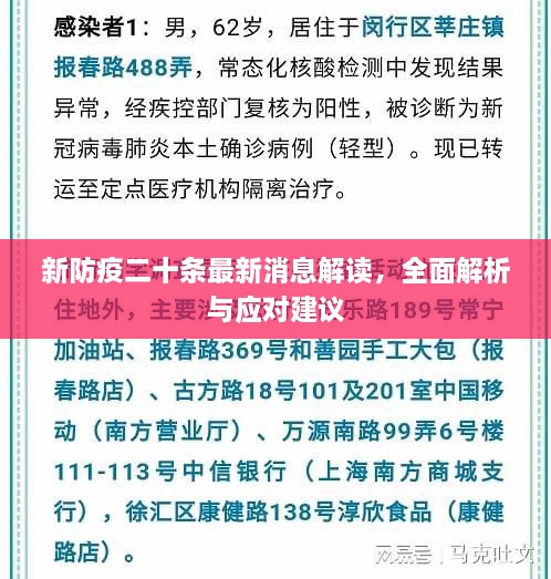 新防疫二十條最新消息解讀，全面解析與應(yīng)對建議